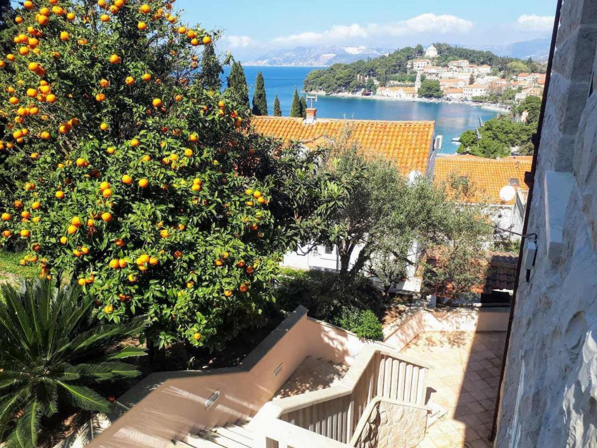 City Apartments Bobic Cavtat Exterior photo